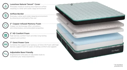 Cool Comfort Plush - Image 2